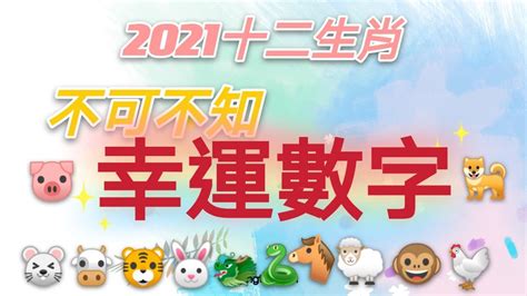 屬兔適合的生肖|十二生肖「幸運數字、幸運顏色、大吉方位」！跟著做。